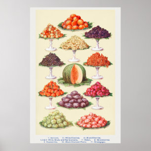 Vintage frukt poster