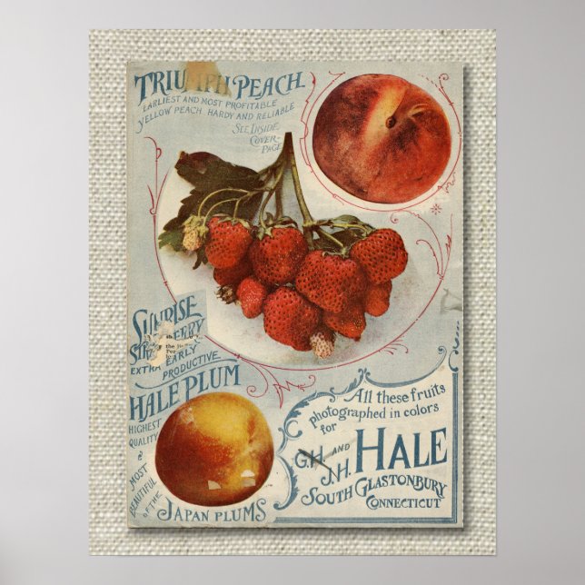 Vintage Frukt Seed Packet från slutet av 1800-tale Poster (Framsidan)