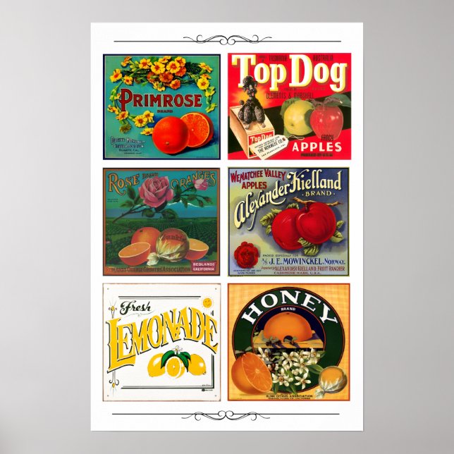 Vintage fruktannonsetiketter poster (Framsidan)