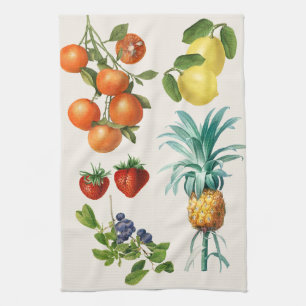 Vintage Fruktillustrationer Kökshandduk