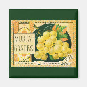 Vintage fruktkratetikett konst, Muscat-druvor Magnet
