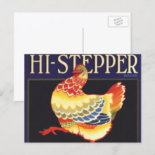 Vintage fruktkratteetikett konst, Hi Stepper Chick Vykort
