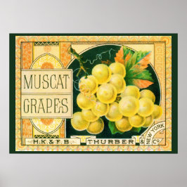 Vintage fruktkratteetikett konst, Muscat-druvor Poster