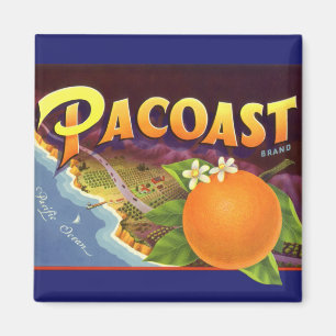 Vintage fruktkrattemärkeskonst, Pacoast Apelsiner Magnet