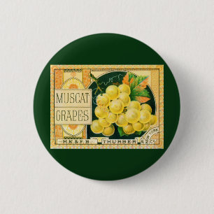 Vintage fruktkratts etikett konst, Muscat-druvor Knapp
