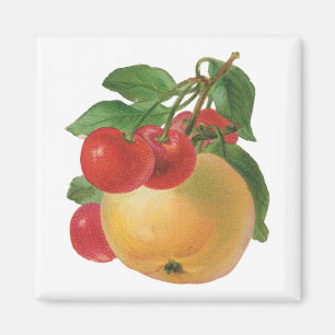 Vintage Fruktmagnet Magnet