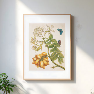 Vintage Fruktväxt Med Fjärilar Konst Poster