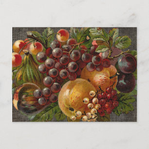 Vintage Fruvest Thanksgiving Postcard Helg Vykort