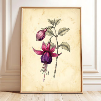 Vintage Fuchsia Botanisk Canvas Konsttryck Poster