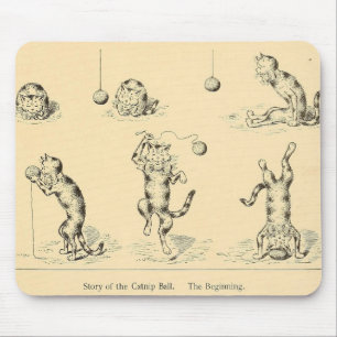 Vintage Funny Catnip Cat Musmatta