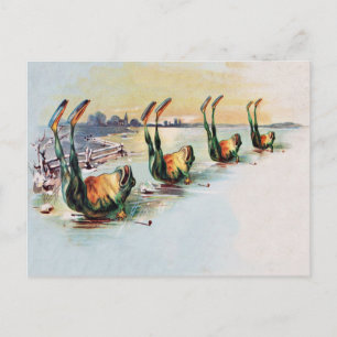 Vintage Funny Frogs vykort