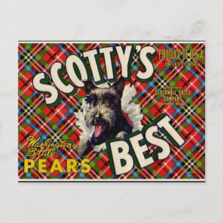 Vintage Funny Scotty Hund Pets-etikett - vykort
