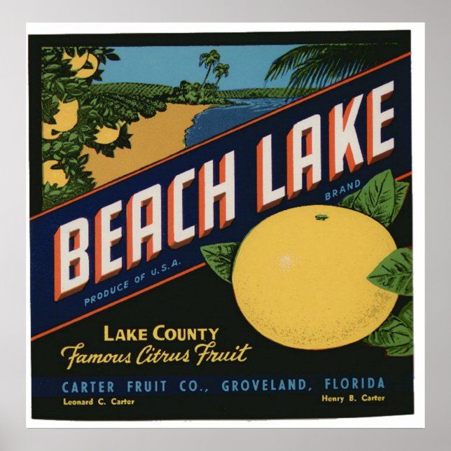 Vintage Gamla etiketter för citrusfrukter Låda Poster (Framsidan)