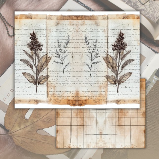 Vintage gammalt botaniskt skrotjournalpappersark (Skapare uppladdad)