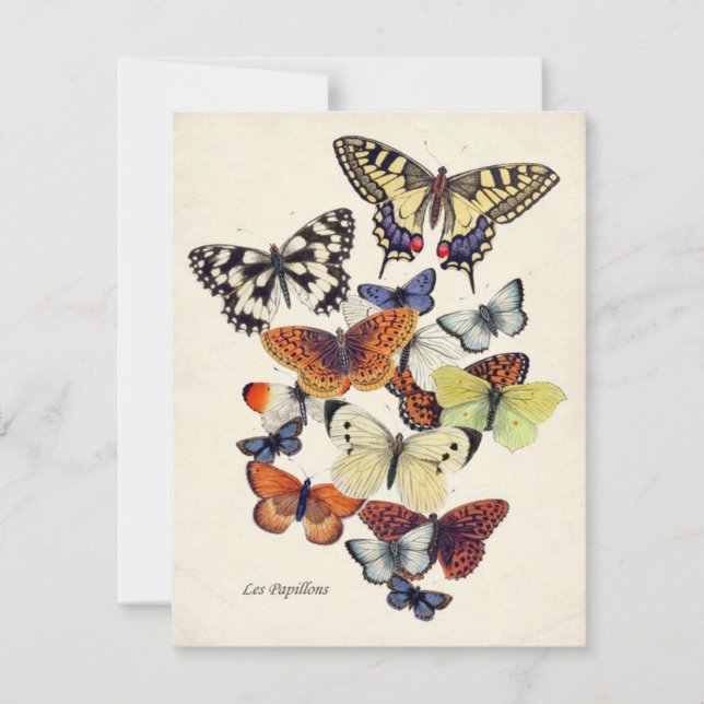 Vintage Garden Butterflies-kort (Framsida)
