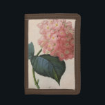Vintage Garden Flowers, Rosa Hydrangea Hortensia<br><div class="desc">Vintagens illustration av botaniska blommigtar med en stor rosa blommande Hydrangea-blommar. Kallas även Hortensia. Art av konstnär och botanist Pierre Joseph Redoute.</div>