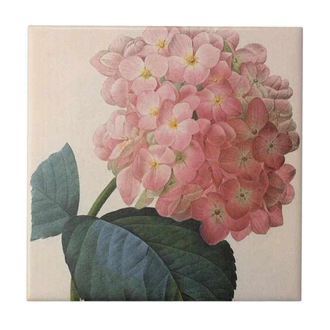 Vintage Garden Flowers, Rosa Hydrangea Hortensia Kakelplatta (Framsidan)