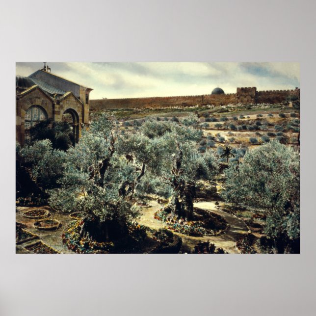Vintage Garden of Gethsemane Jerusalem Israel Poster (Framsidan)