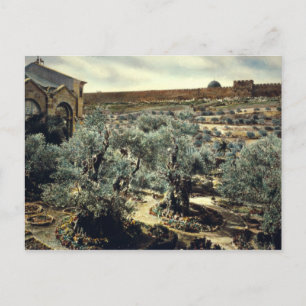 Vintage Garden of Gethsemane Jerusalem Israel Vykort