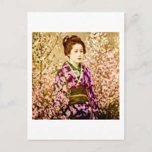 Vintage Geisha Posing i Cherry Blommars Vykort