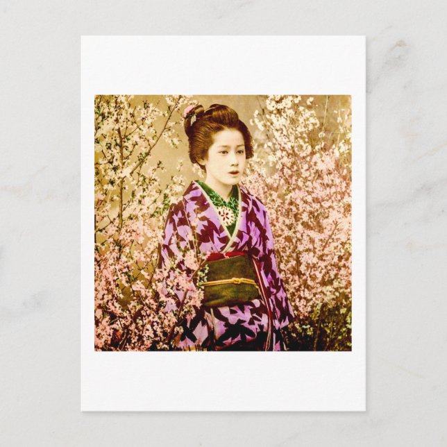 Vintage Geisha Posing i Cherry Blommars Vykort (Framsida)