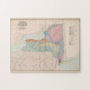 Vintage Geological Karta of New York State (1870) Pussel