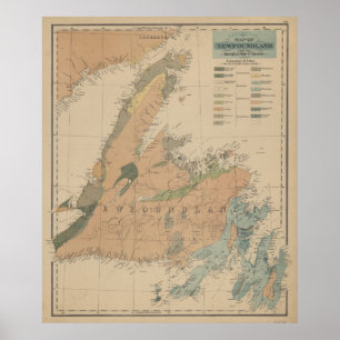 Vintage Geological Karta of Newfoundland (1875) Poster