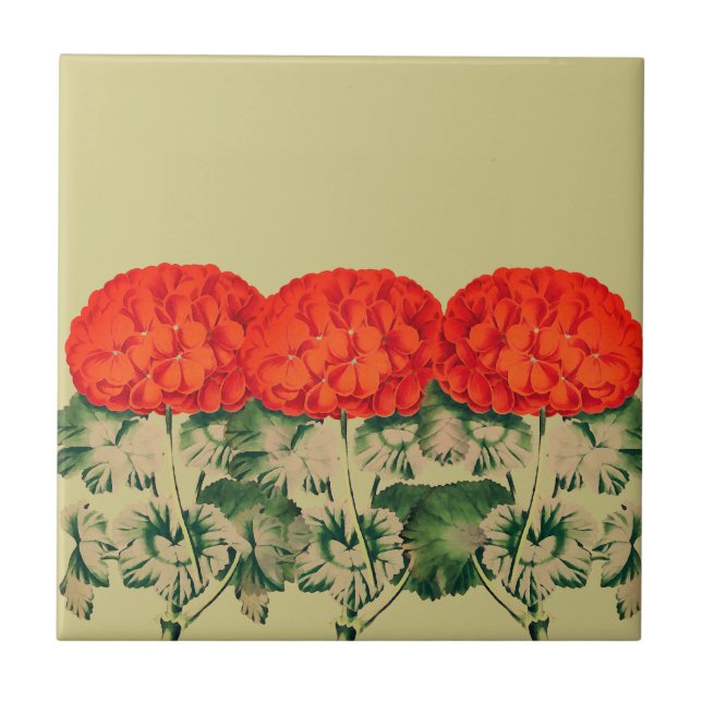 Vintage Geranium Trio - fet blommigt    Kakelplatta (Framsidan)