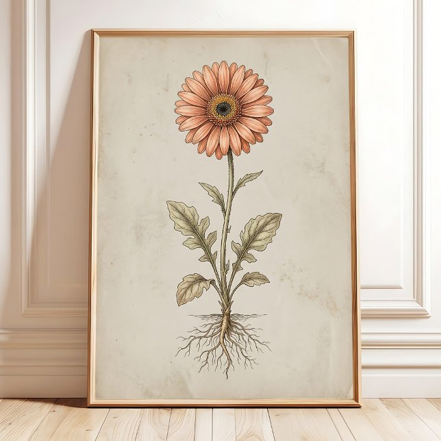 Vintage Gerbera Daisy Väggkonsttryck Poster (Skapare uppladdad)