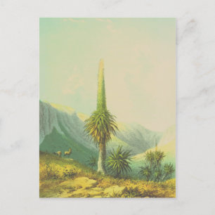 Vintage Giant Exotic Plant Vykort
