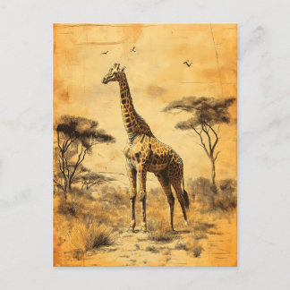 Vintage Giraffe Südafrika Savanne Postcard Vykort