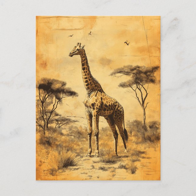 Vintage Giraffe Südafrika Savanne Postcard Vykort (Framsida)