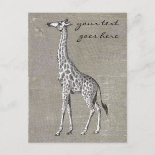 Vintage Giraffe Vykort