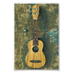 Vintage gitarr teckning fototryck