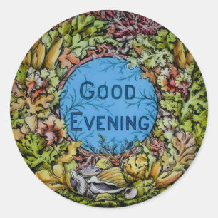 Vintage Glass Magic Lantern Slide Bra Evening Runt Klistermärke