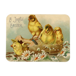 Vintage Glatta Påsk Chickar Magnet