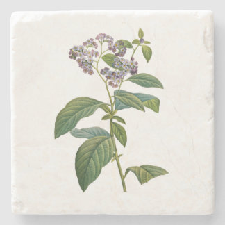 Vintage Glöm mig - Inte Vänskap Kärlek botaniska Stenunderlägg
