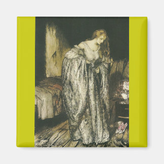Vintage Gnistra Dress Princess Magnet