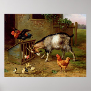 Vintage Goats Tupp och Chickens Boskap Poster