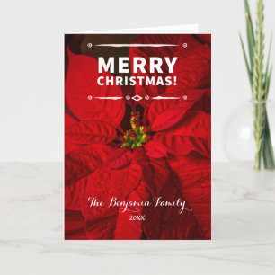 Vintage God jul Red Poinsettias Photo Helgkort