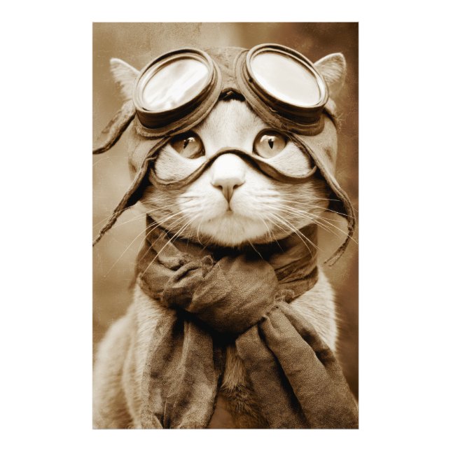 Vintage Goggle Cat Scarf Retro Print Fototryck (Framsidan)