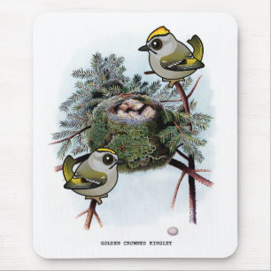 Vintage Golden-kronad Kinglet Musmatta