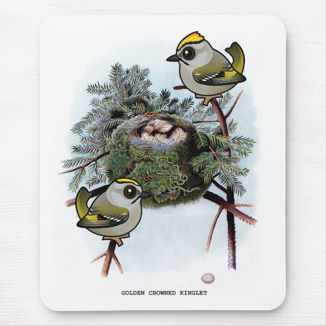 Vintage Golden-kronad Kinglet Musmatta (Framsidan)