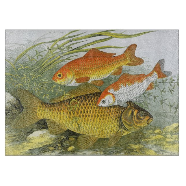 Vintage Goldfish Koi Fish, Marine Aquatic Sea Life (Framsidan)