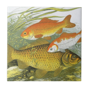 Vintage Goldfish Koi Fish, Marine Aquatic Sea Life Kakelplatta