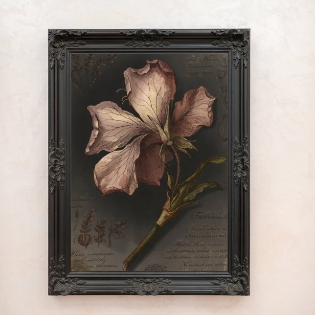 Vintage gotisk botanisk blomsterstudie konst fototryck (Vintage Gothic Botanical Flower Study Art Photo Print)