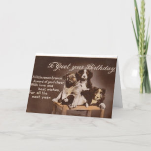 Vintage Gräns Collie Birthday Card Kort