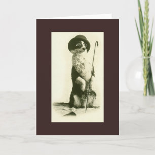 Vintage Gräns Collie Greeting Card Kort