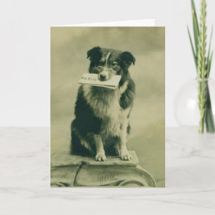 Vintage Gräns Collie Greeting Card Kort