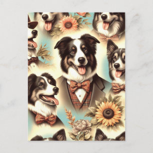 Vintage Gräns Collie Ilustration Vykort